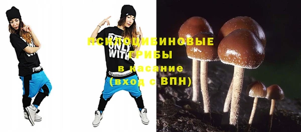 первитин Лиски