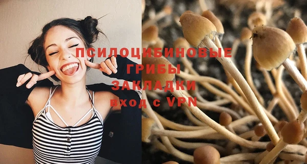 спайс Липки