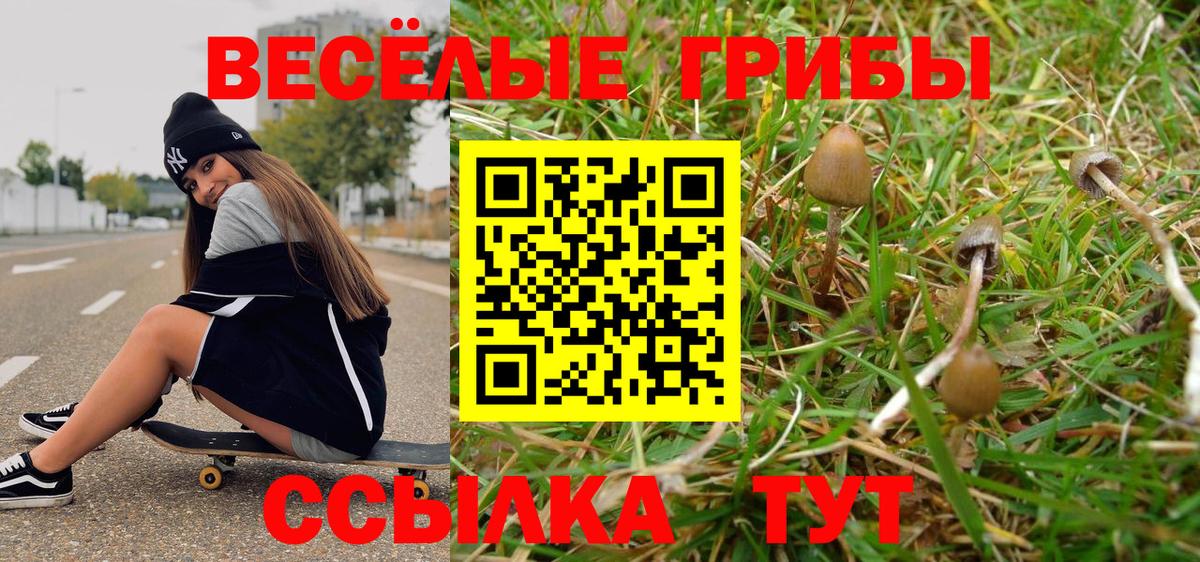 Галлюциногенные грибы Magic Shrooms  Чапаевск  Псилоцибиновые грибы ЛСД 