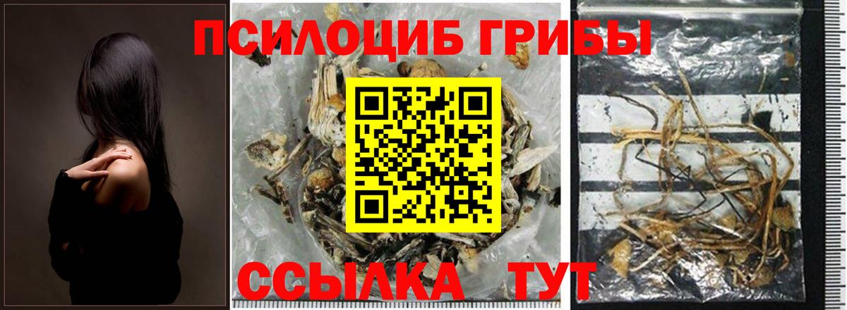 Галлюциногенные грибы ЛСД  Вход с VPN  Чапаевск 